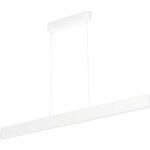Philips Hue Ensis Hanglamp White & Colour Wit