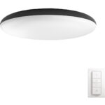 Philips Hue Cher plafondlamp White Ambiance Zwart