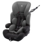 Babyauto Zarauz Con Fix Grey